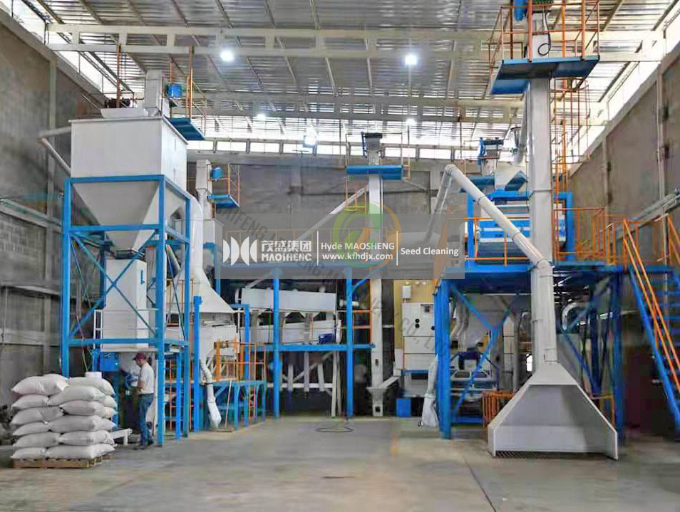 Ensemble complet de machine de nettoyage de graines de sésame d'usine de transformation de nettoyage de graines de céréales