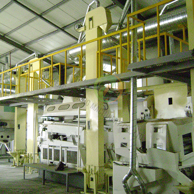 Usine de transformation de haricots durables personnalisables
