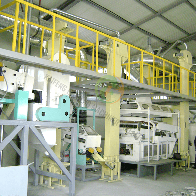 Usine de transformation de haricots durables personnalisables