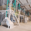 Usine de transformation de grains de café durable pour les centres de traitement coopératif