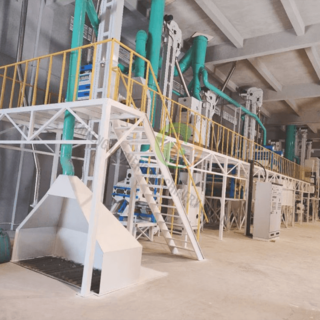 Usine de transformation de grains de café durable pour les centres de traitement coopératif