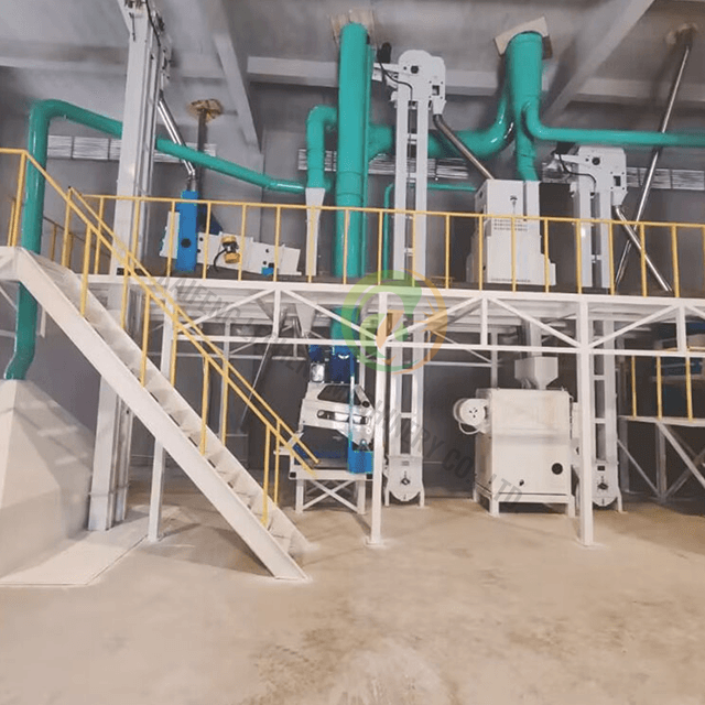 Usine de transformation de grains de café durable pour les centres de traitement coopératif