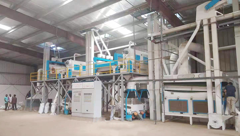 Ensemble complet de machine de nettoyage de graines de sésame d'usine de transformation de nettoyage de graines de céréales